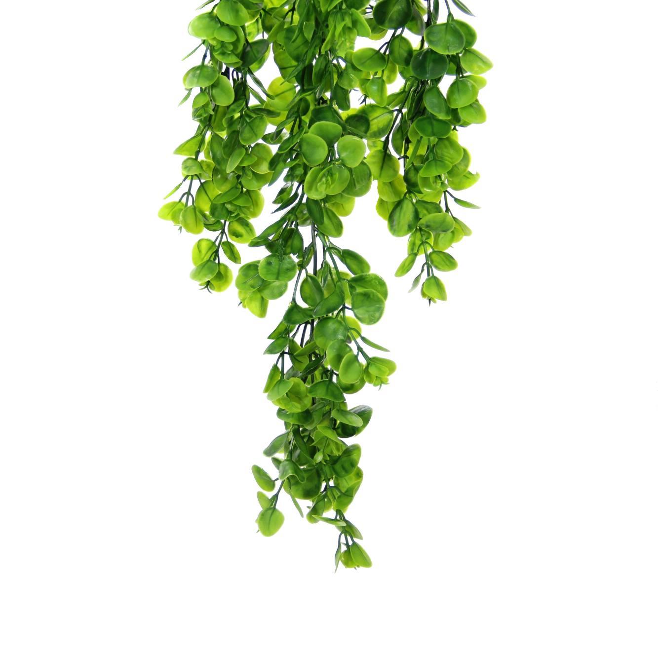 237*KUZU KULAĞI  SARKIT BYL2023129 - Netodan Gelenler