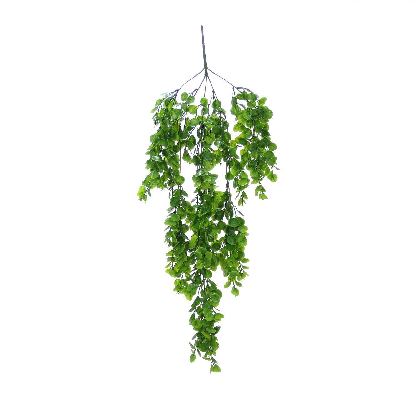 237*KUZU KULAĞI  SARKIT BYL2023129 - Netodan Gelenler