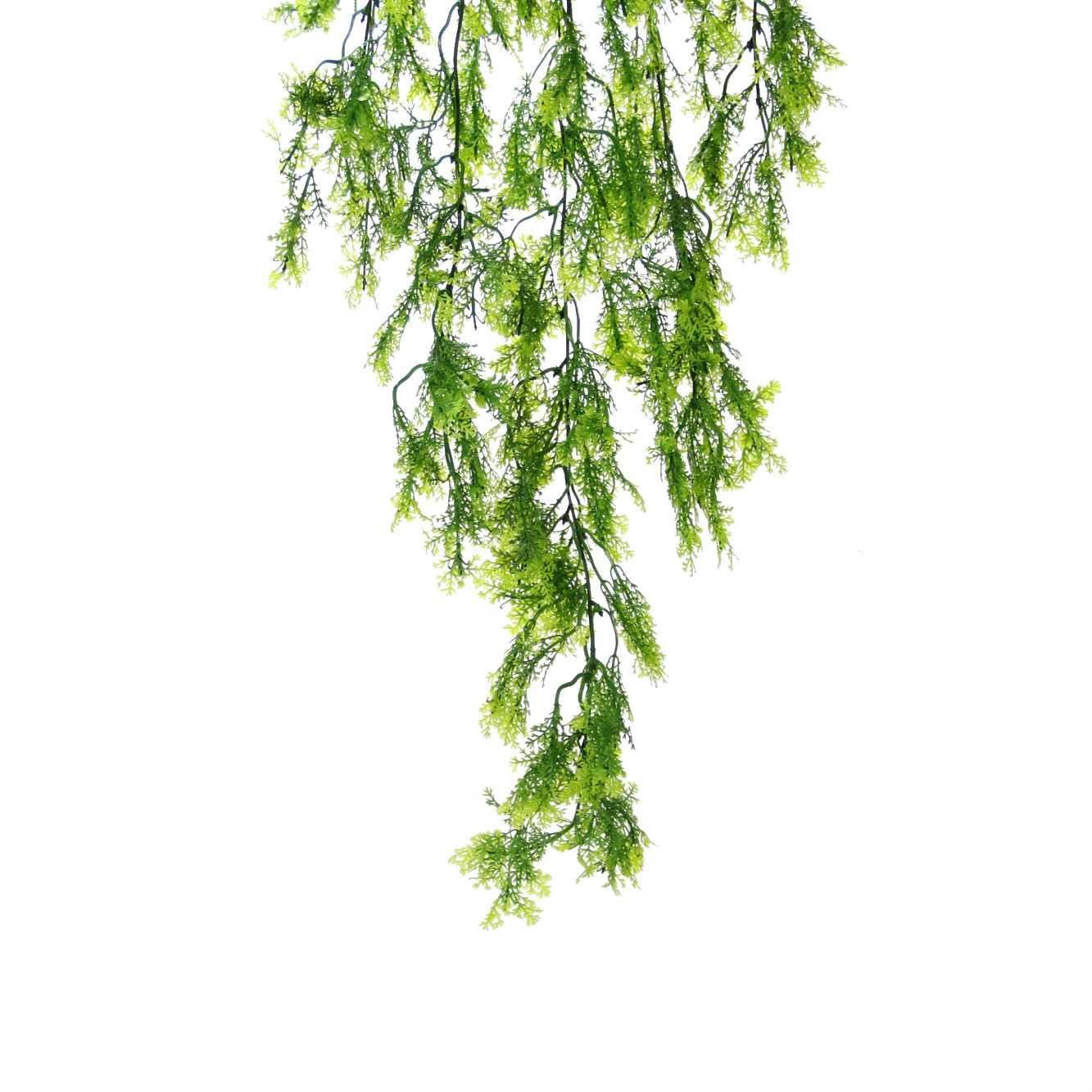 237*SELVİ SARKIT BYL2023125 - Netodan Gelenler