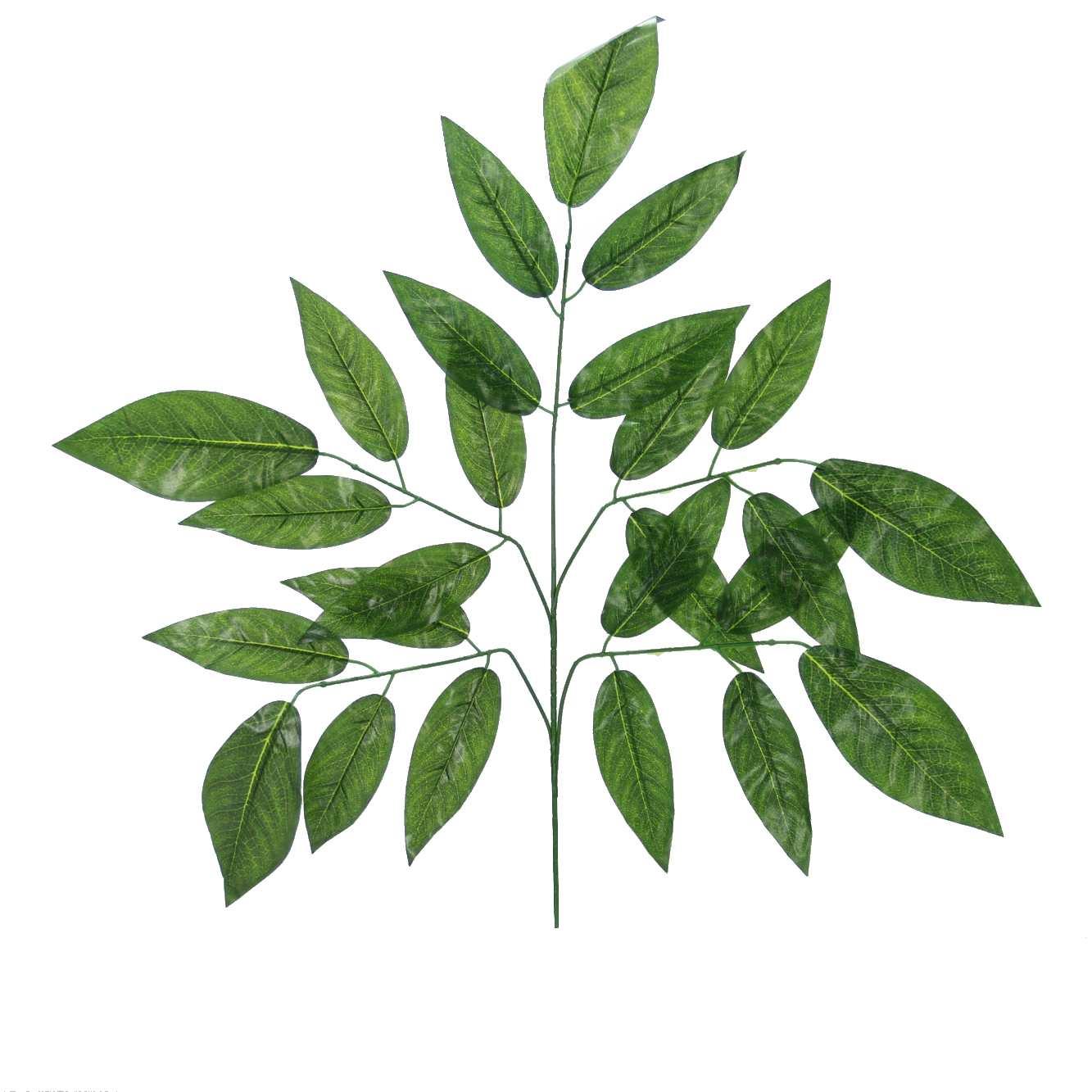 237*YEŞİL CEVİZ  YAPRAĞI DEMET BYL2023087 - Netodan Gelenler