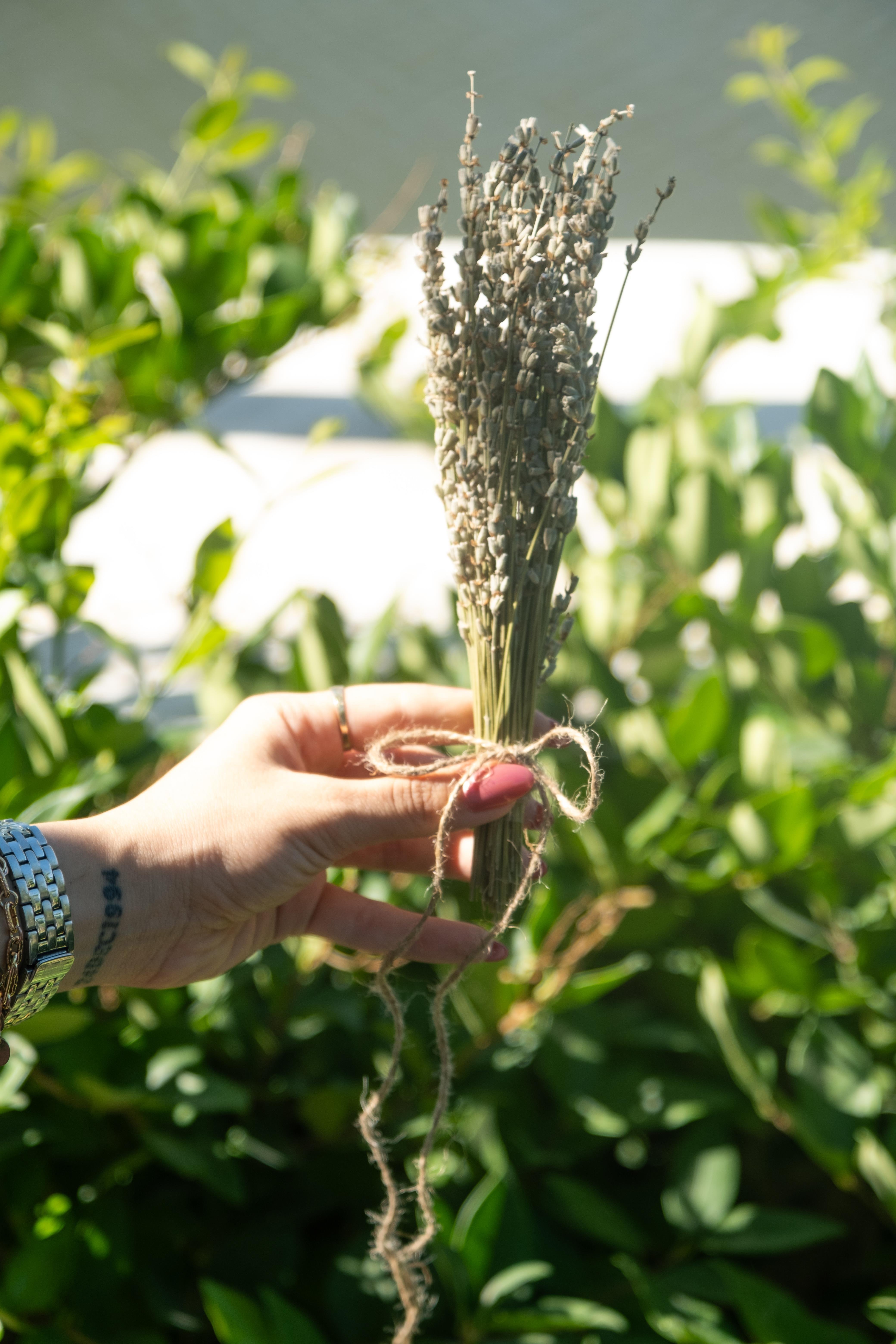 Kurutulmuş Lavanta Demeti - Doğal Kurutulmuş Çiçek