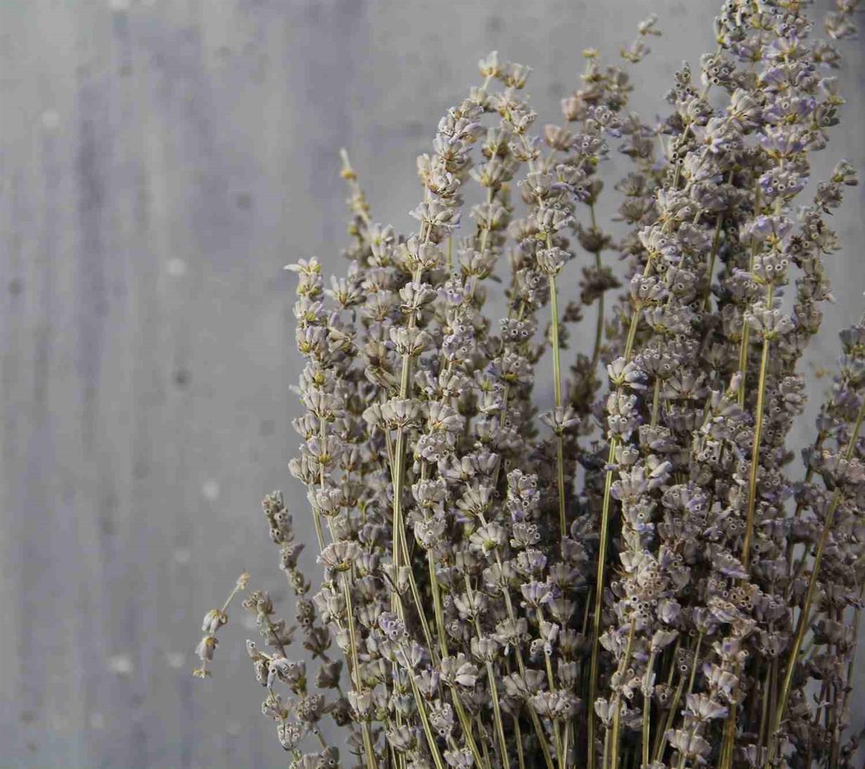 Kurutulmuş Lavanta Demeti - Doğal Kurutulmuş Çiçek