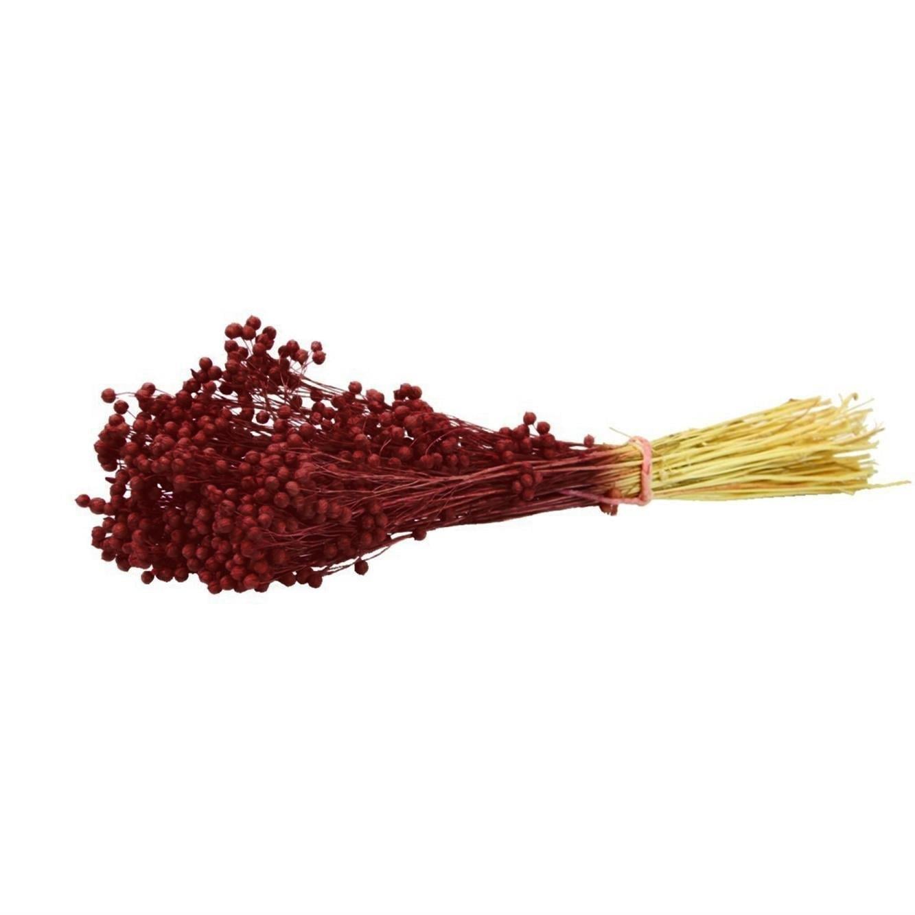 Kurutulmuş Luna (Keten) Demeti Bordo - Doğal Kurutulmuş Çiçek