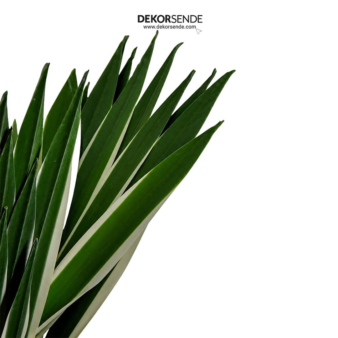 Saksısız Yapay Agave Ağaç Alacalı Yeşil 45 cm - Kategorisiz