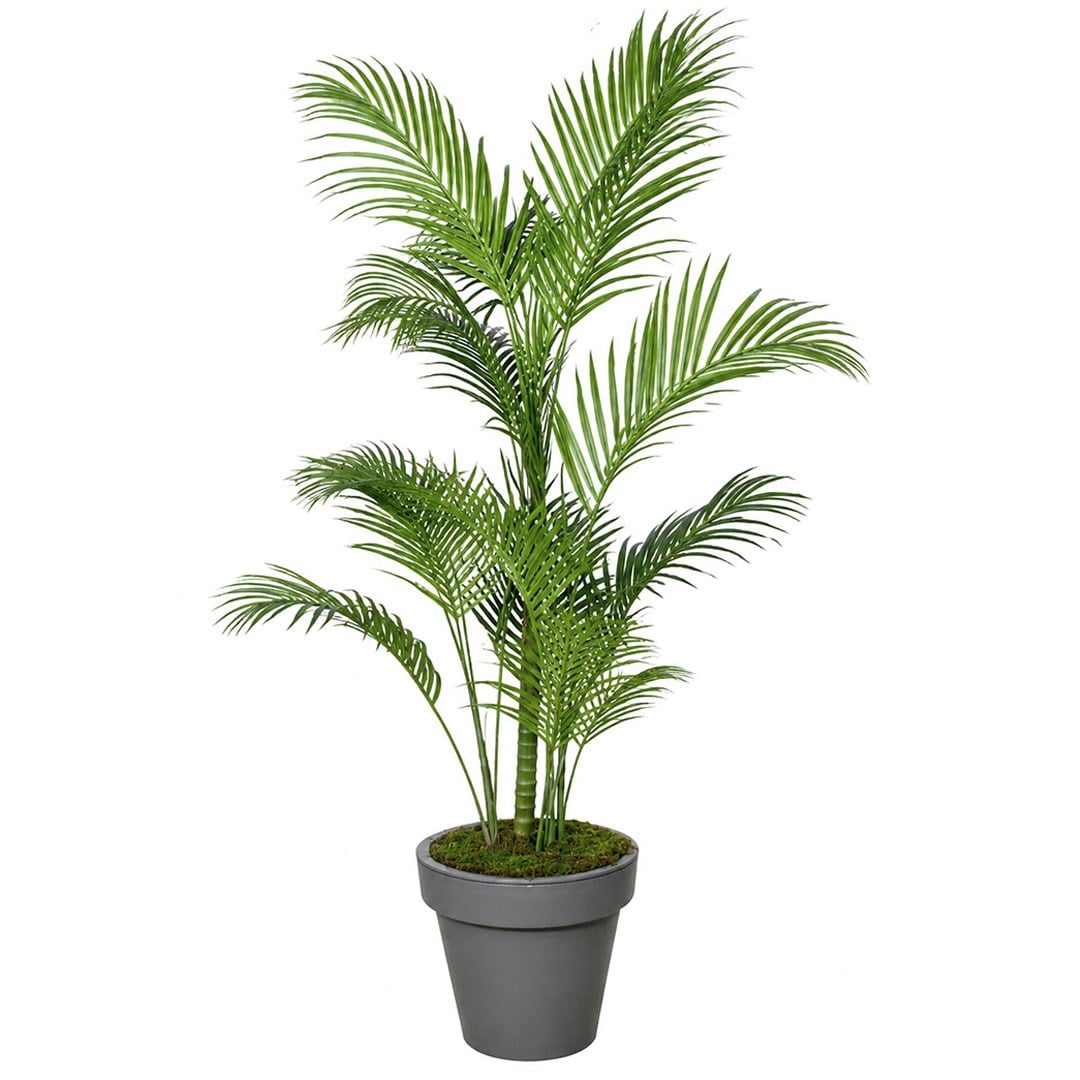 Saksısız Yapay Areka Palmiye Ağaç 200 cm - Kategorisiz