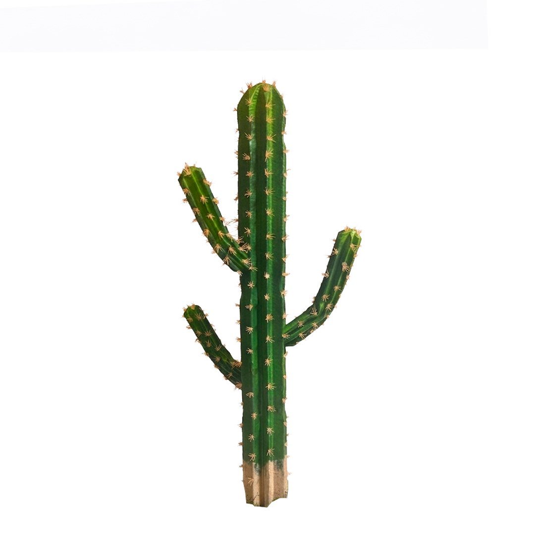 Saksısız Yapay Kaktüs Ağaç 105 cm - Kategorisiz