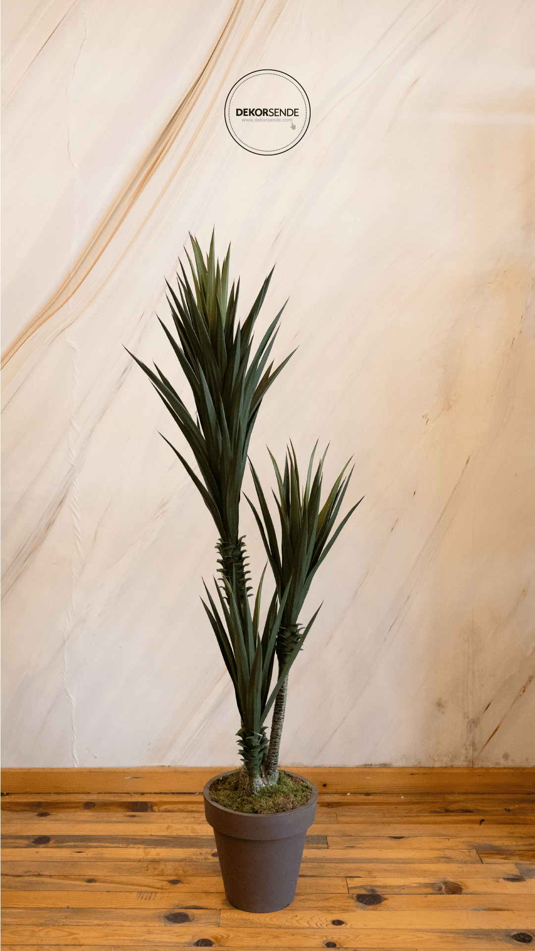 Saksısız Yapay Sisal Ağacı 160 cm - Yapay Egzotik Ağaçlar