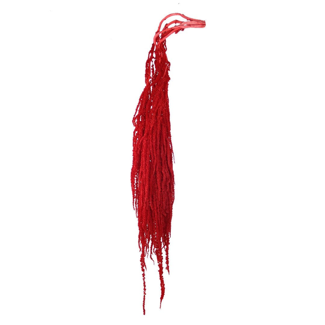 Şoklanmış Amarantus (Amaranthus) Demet Kırmızı 100 cm - Şoklanmış Çiçek