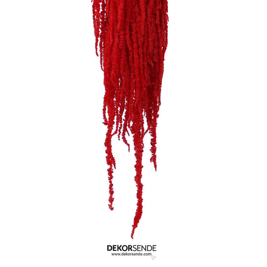 Şoklanmış Amarantus (Amaranthus) Demet Kırmızı 100 cm - Şoklanmış Çiçek