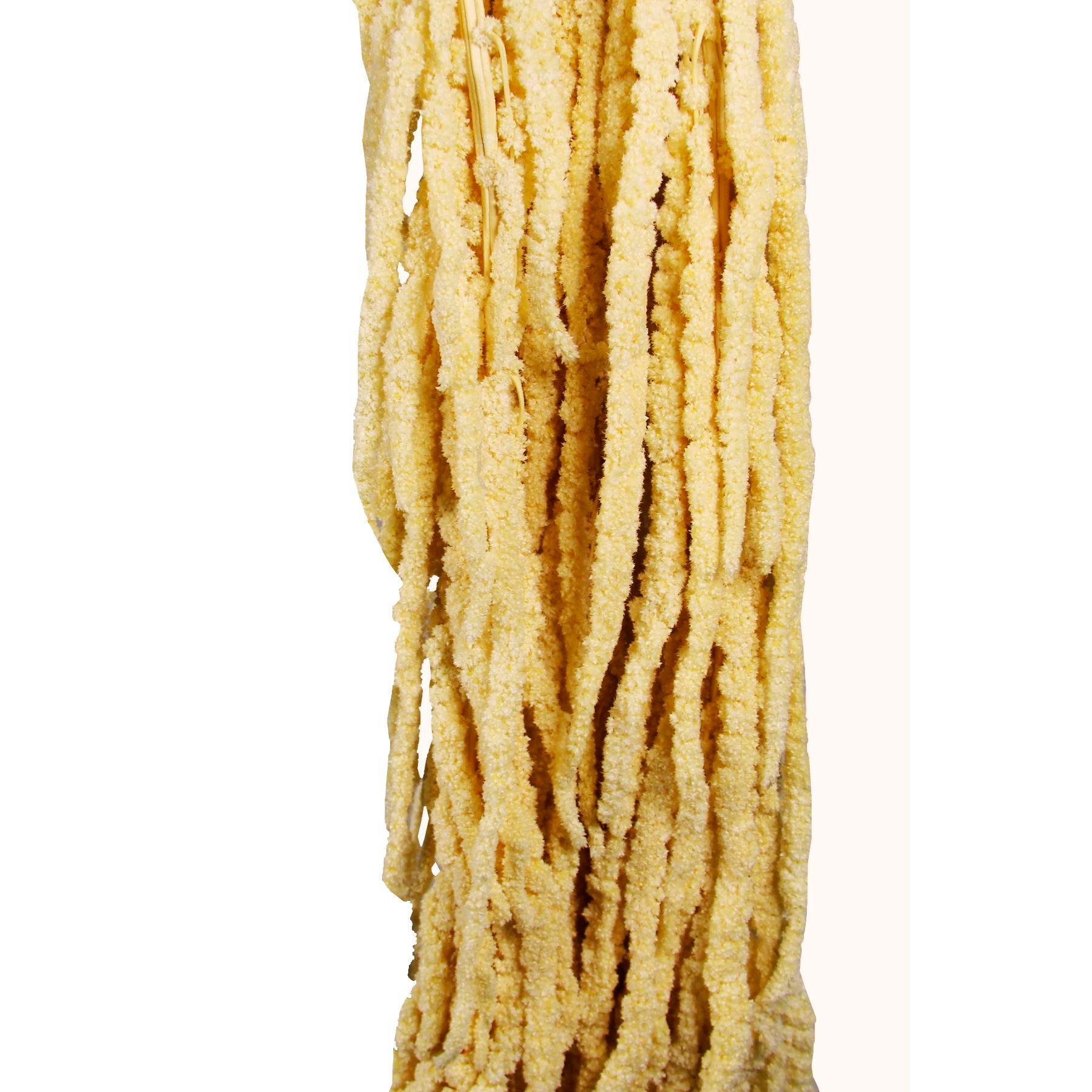 Şoklanmış Amarantus (Amaranthus) Demeti 100 cm - Şoklanmış Çiçek
