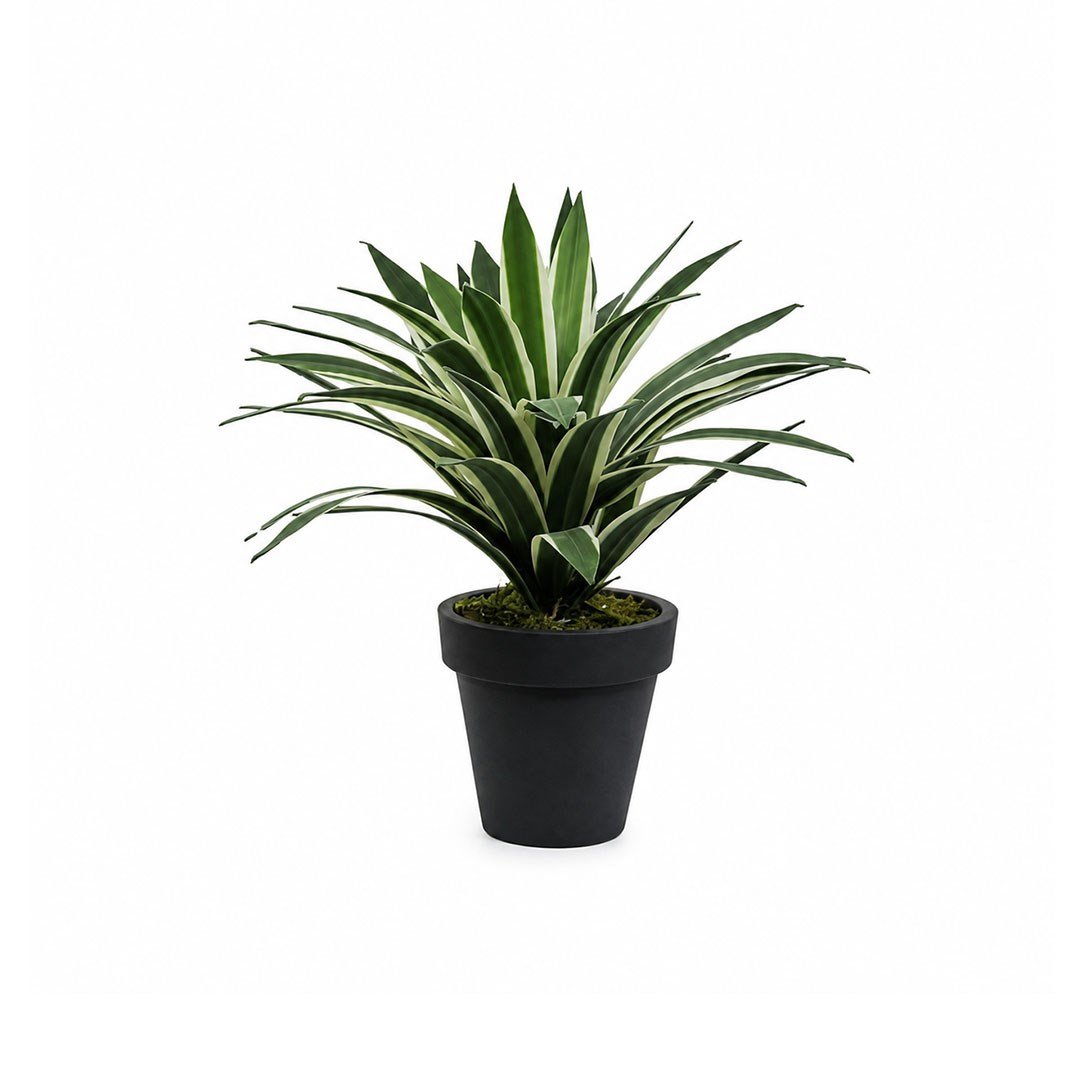 Yapay Agave Ağaç Alacalı Yeşil 45 cm - Kategorisiz