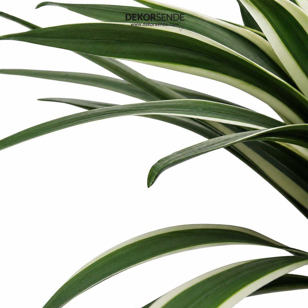 Yapay Agave Ağaç Alacalı Yeşil 45 cm - Kategorisiz