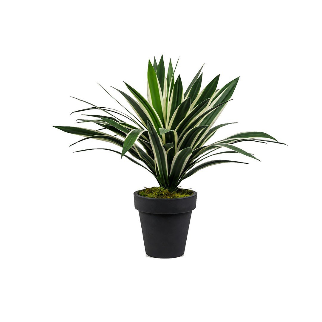 Yapay Agave Ağaç Alacalı Yeşil 55 cm - Kategorisiz
