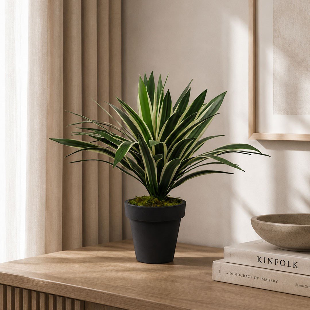 Yapay Agave Ağaç Alacalı Yeşil 55 cm - Kategorisiz