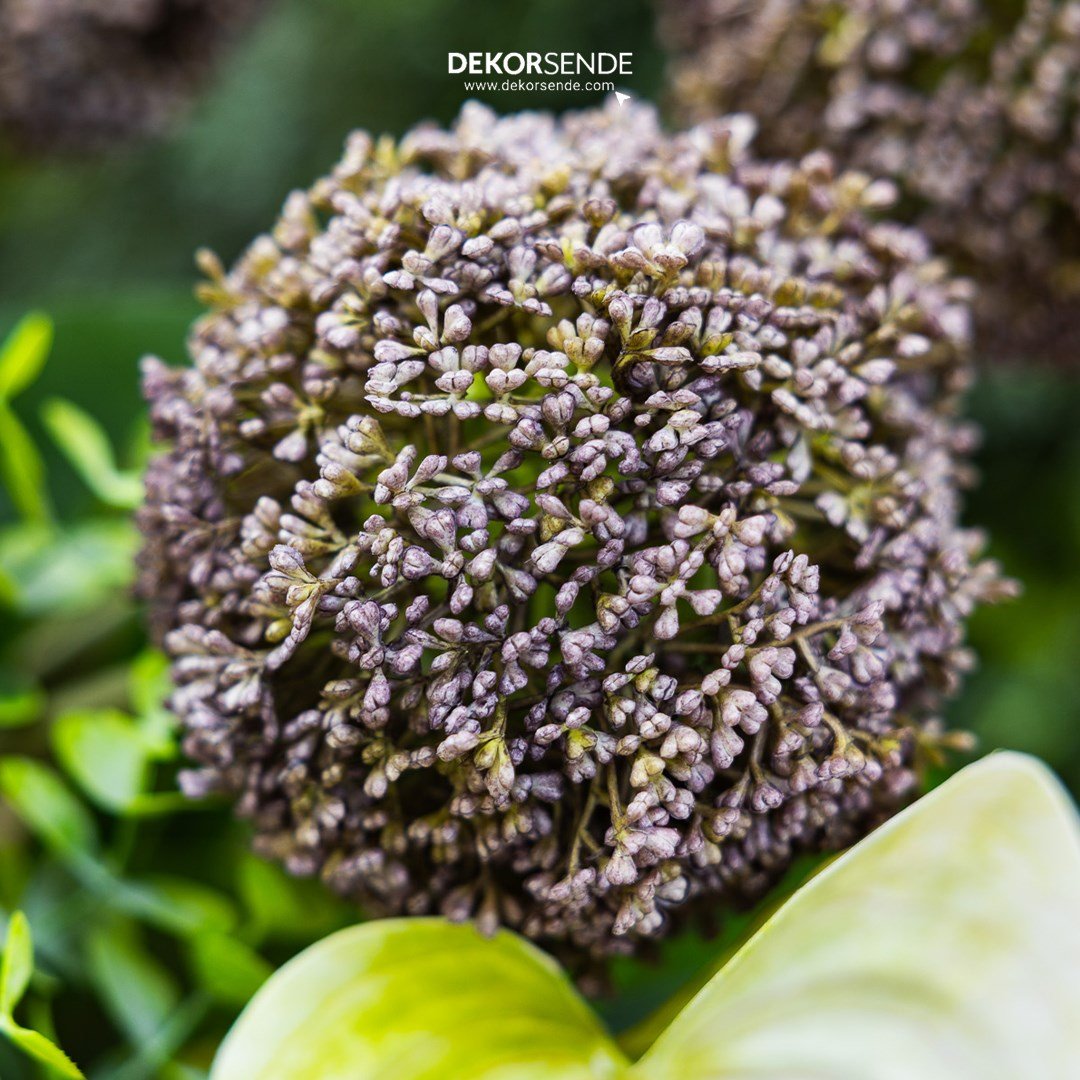 Yapay Allium Dal Lila 75 cm - Yapay Çiçek Dalları ve Demetleri