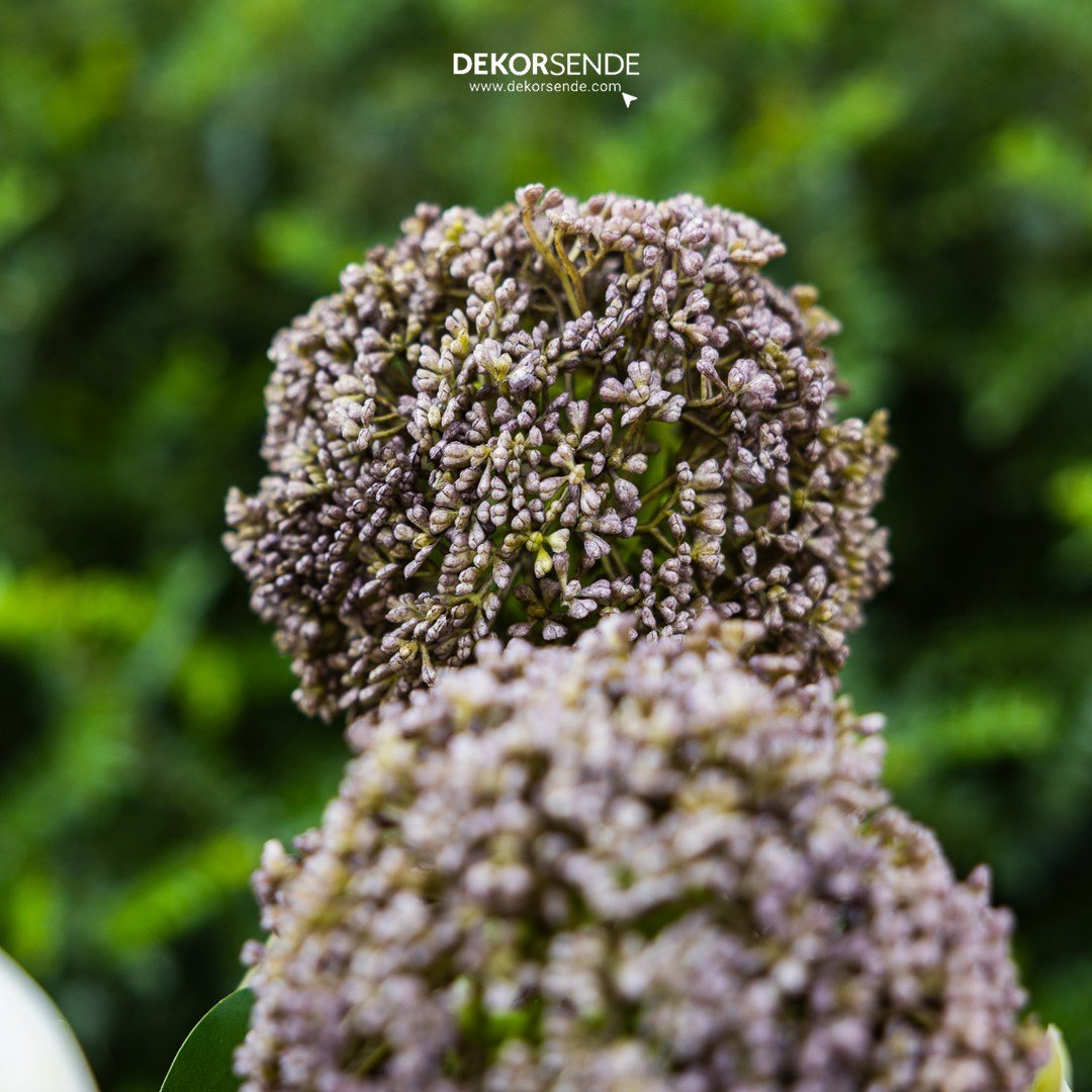 Yapay Allium Dal Lila 75 cm - Yapay Çiçek Dalları ve Demetleri