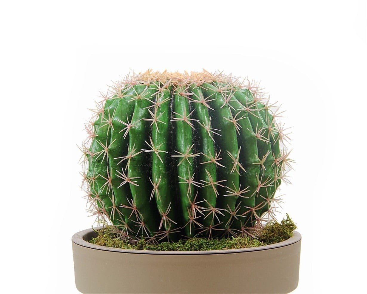 Yapay Altın Fıçı (Barrel) Kaktüs 47 cm - Yapay Kaktüsler