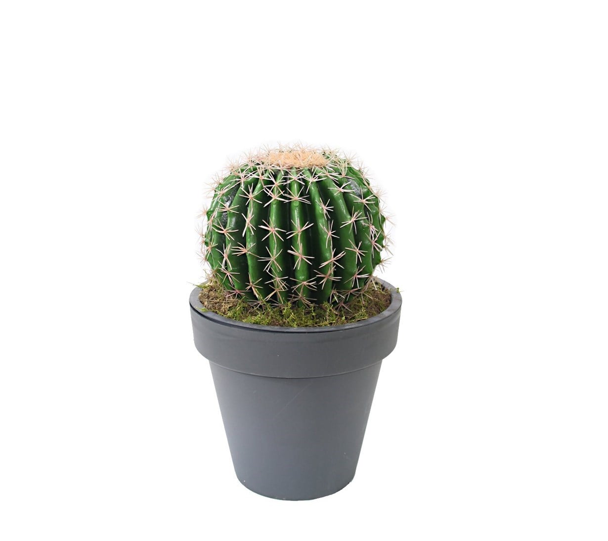 Yapay Altın Fıçı (Barrel) Kaktüs 47 cm - Yapay Kaktüsler