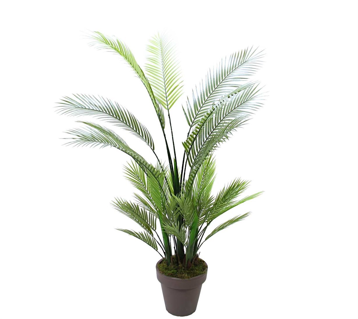 Yapay Areka (Areca) Ağaç 155 cm - Yapay Egzotik Ağaçlar