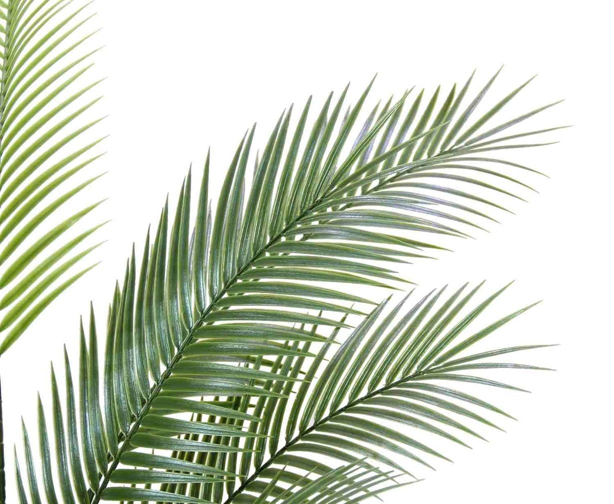 Yapay Areka (Areca) Ağaç 155 cm - Yapay Egzotik Ağaçlar