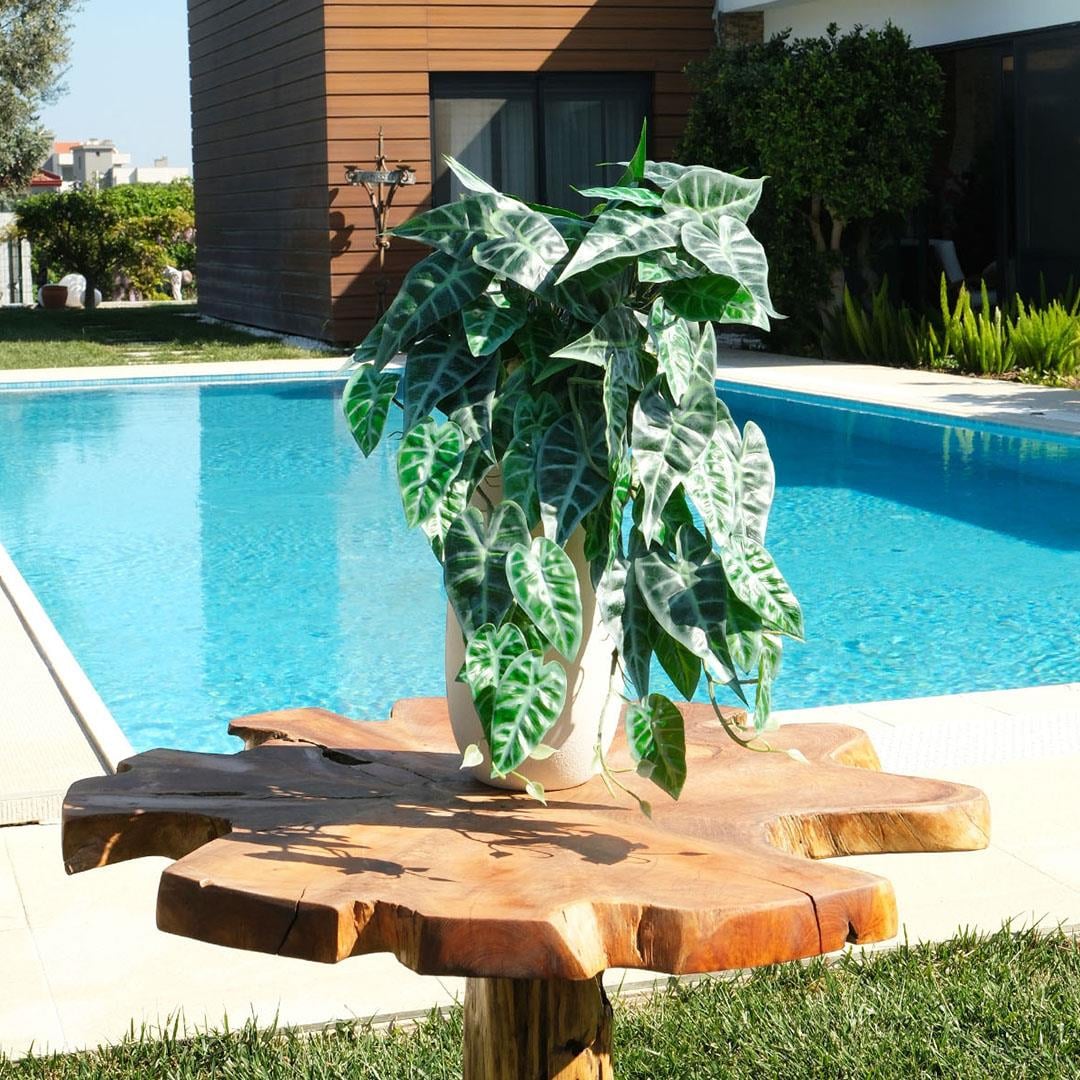 Yapay Caladium Sarmaşık Demeti 55 cm - Yapay Sarmaşıklar