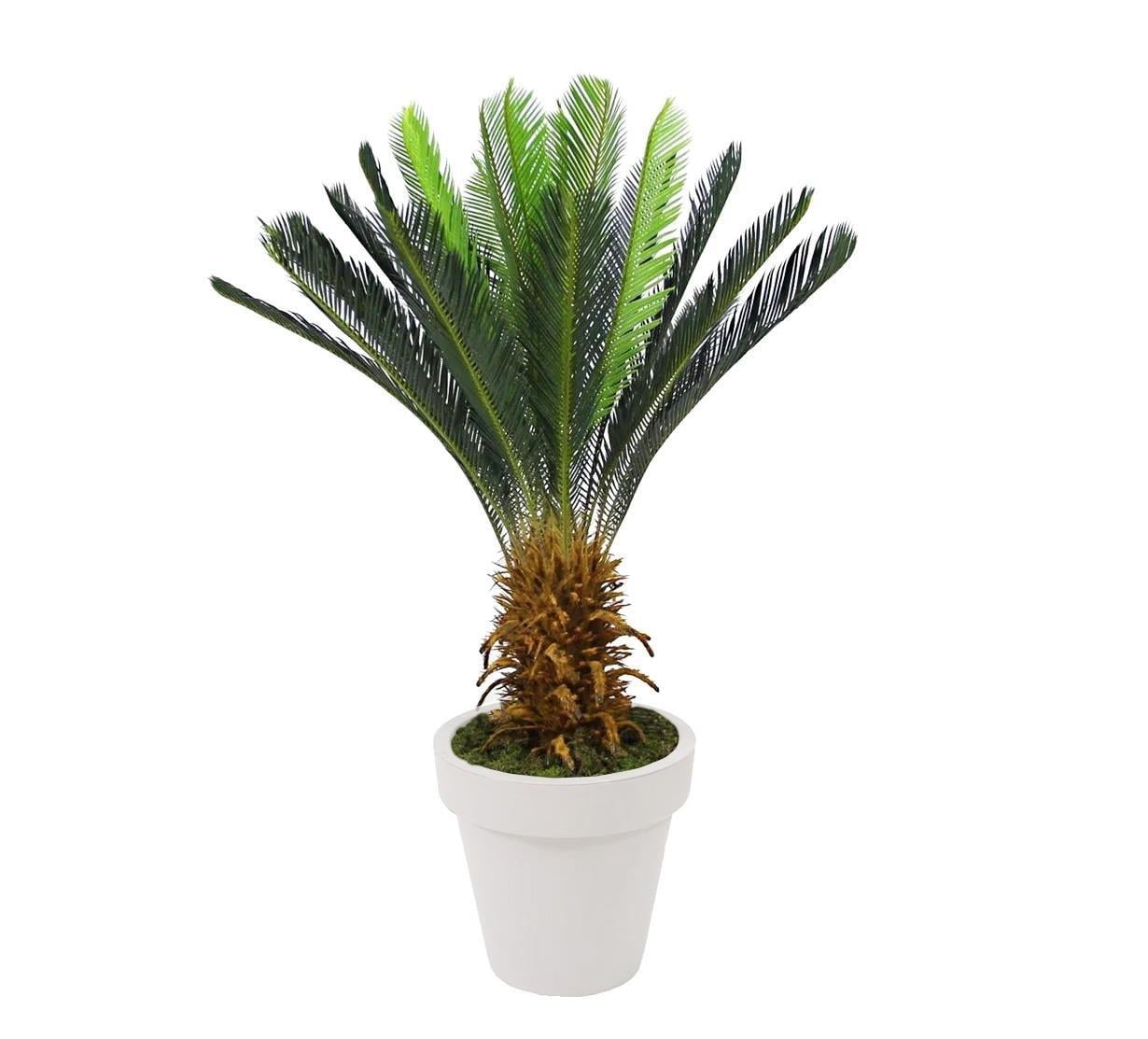 Yapay Cycas Ağacı 130 cm - Yapay Egzotik Ağaçlar