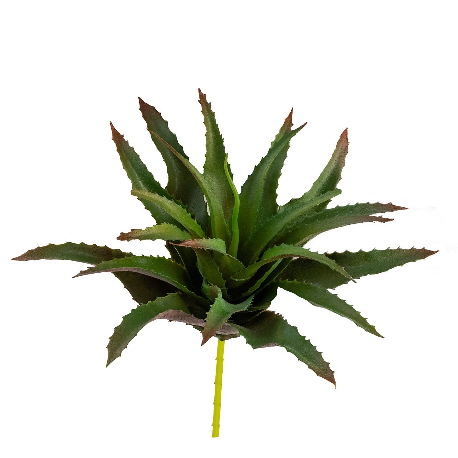 Yapay Dikenli Sisal Sukulent Kızıl Yeşil 26 cm - Sukulentler ve Kaktüsler