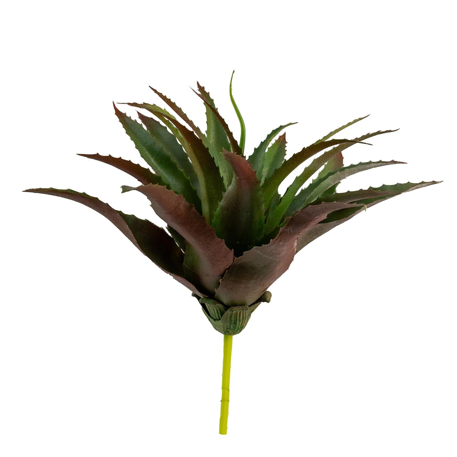 Yapay Dikenli Sisal Sukulent Kızıl Yeşil 26 cm - Sukulentler ve Kaktüsler