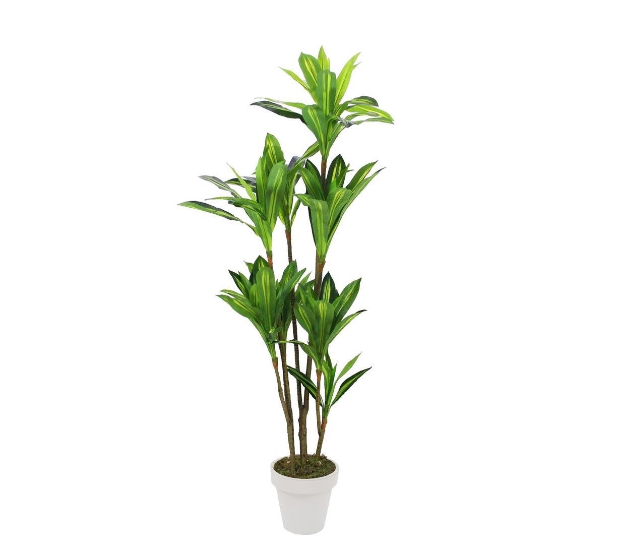 Yapay Drasena Ağaç 200 cm - Yapay Egzotik Ağaçlar