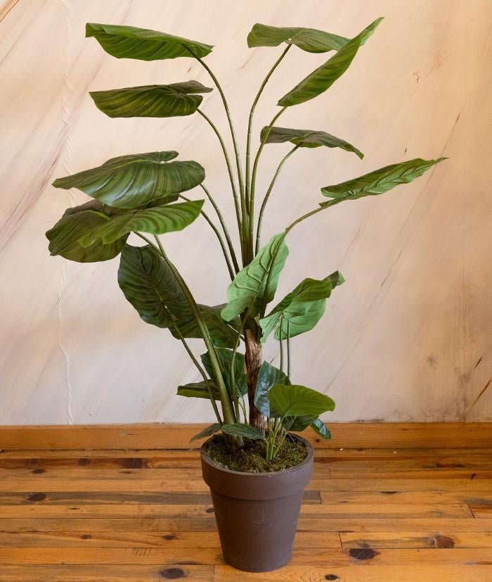 Yapay Dua Ağacı Yeşil 150 cm - Yapay Egzotik Ağaçlar