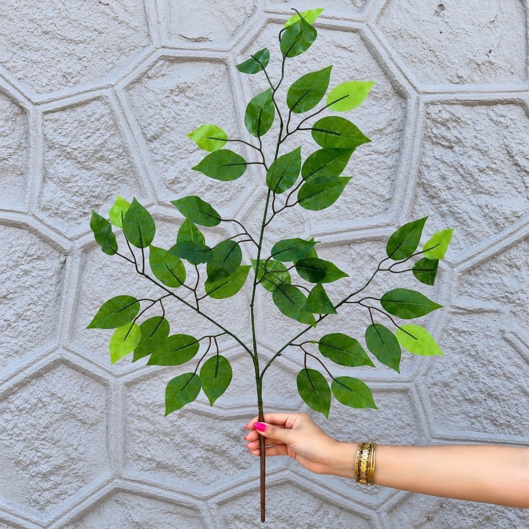 Yapay Ficus Benjamin Yaprak 3 Dal Parlak 60 cm - Yapay Ağaç Yaprakları