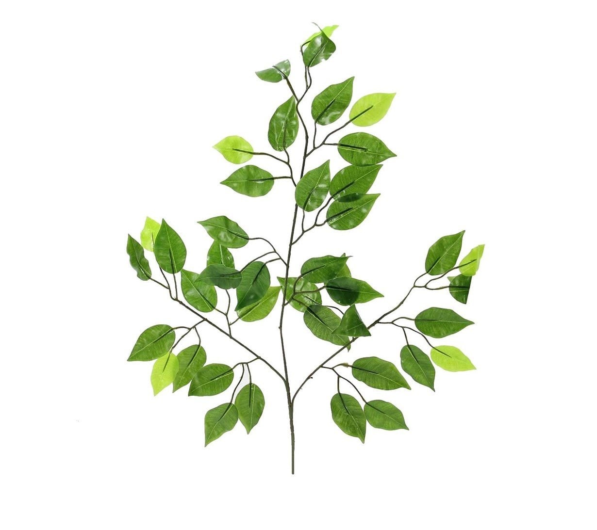 Yapay Ficus Benjamin Yaprak 3 Dal Parlak 60 cm - Yapay Ağaç Yaprakları