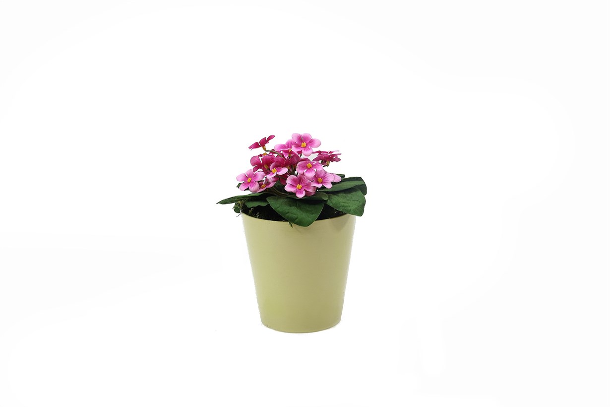 Yapay Menekşe Pembe