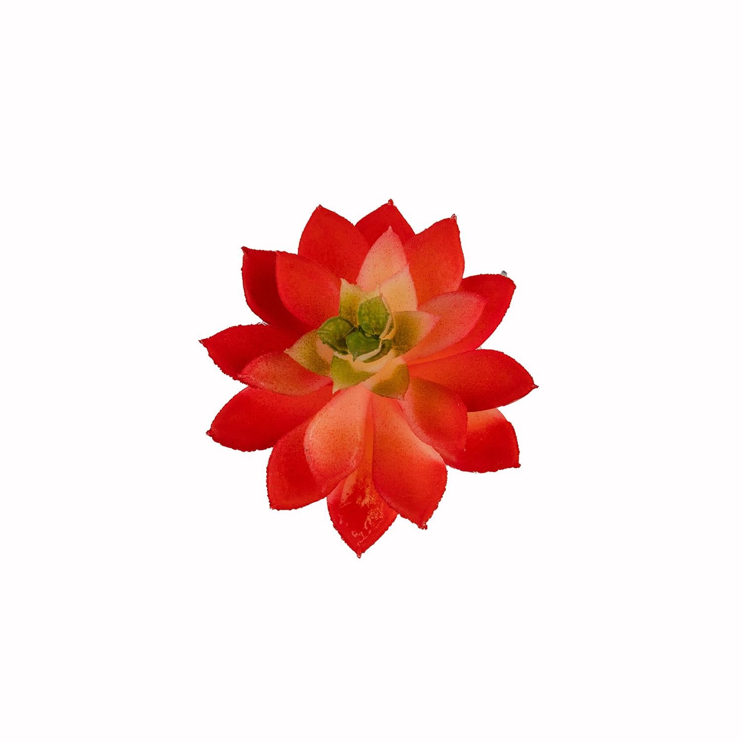 Yapay Mini Echeveria Sukulent Kırmızı 8 cm - Sukulentler ve Kaktüsler