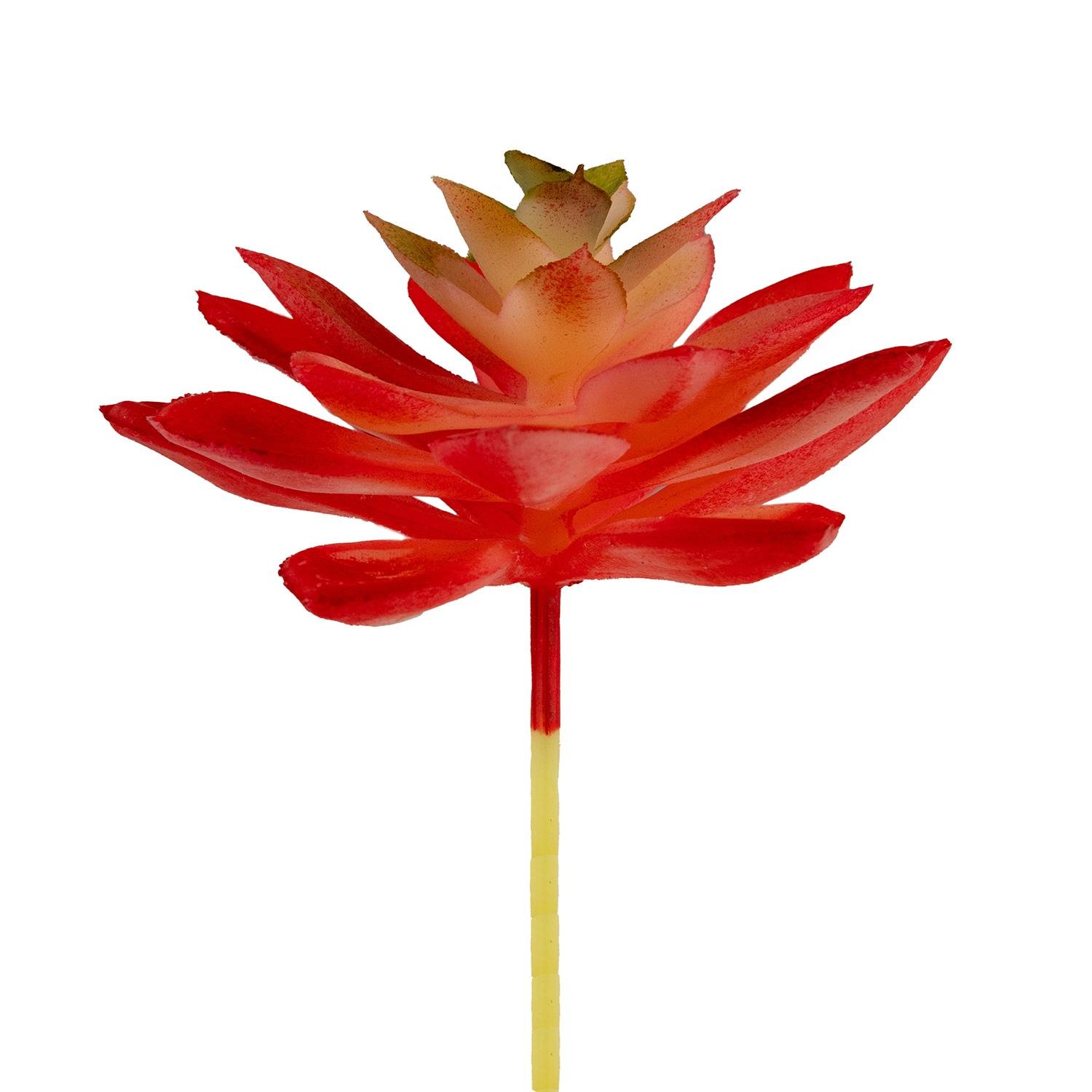 Yapay Mini Echeveria Sukulent Kırmızı 8 cm - Sukulentler ve Kaktüsler