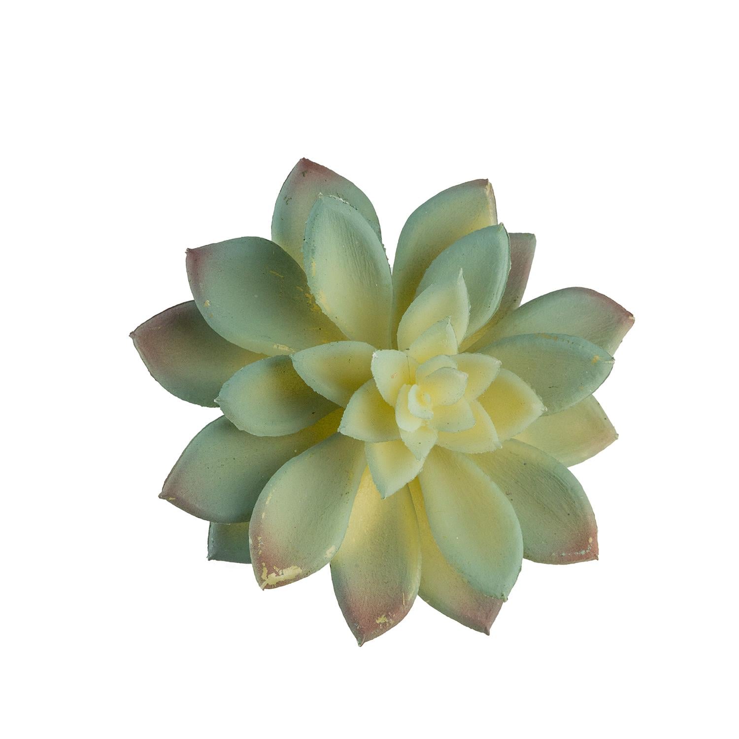 Yapay Mini Etli Echeveria Sukulent Açık Yeşil 12 cm - Sukulentler ve Kaktüsler