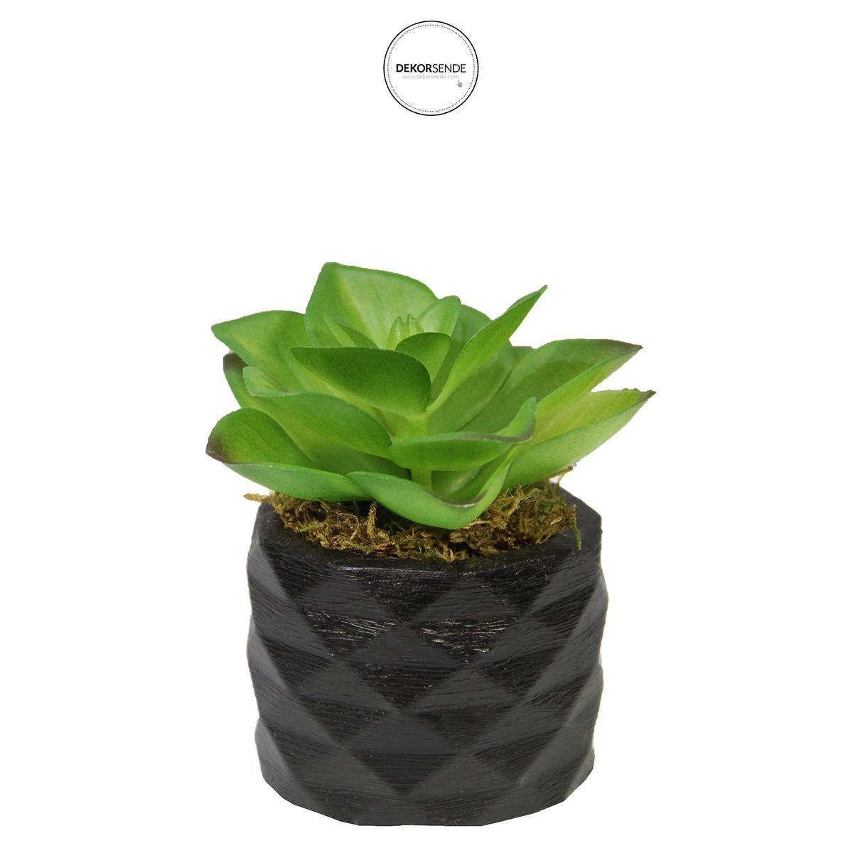 Yapay Mini Etli Echeveria Sukulent Açık Yeşil 8 cm Saksılı - Sukulentler ve Kaktüsler