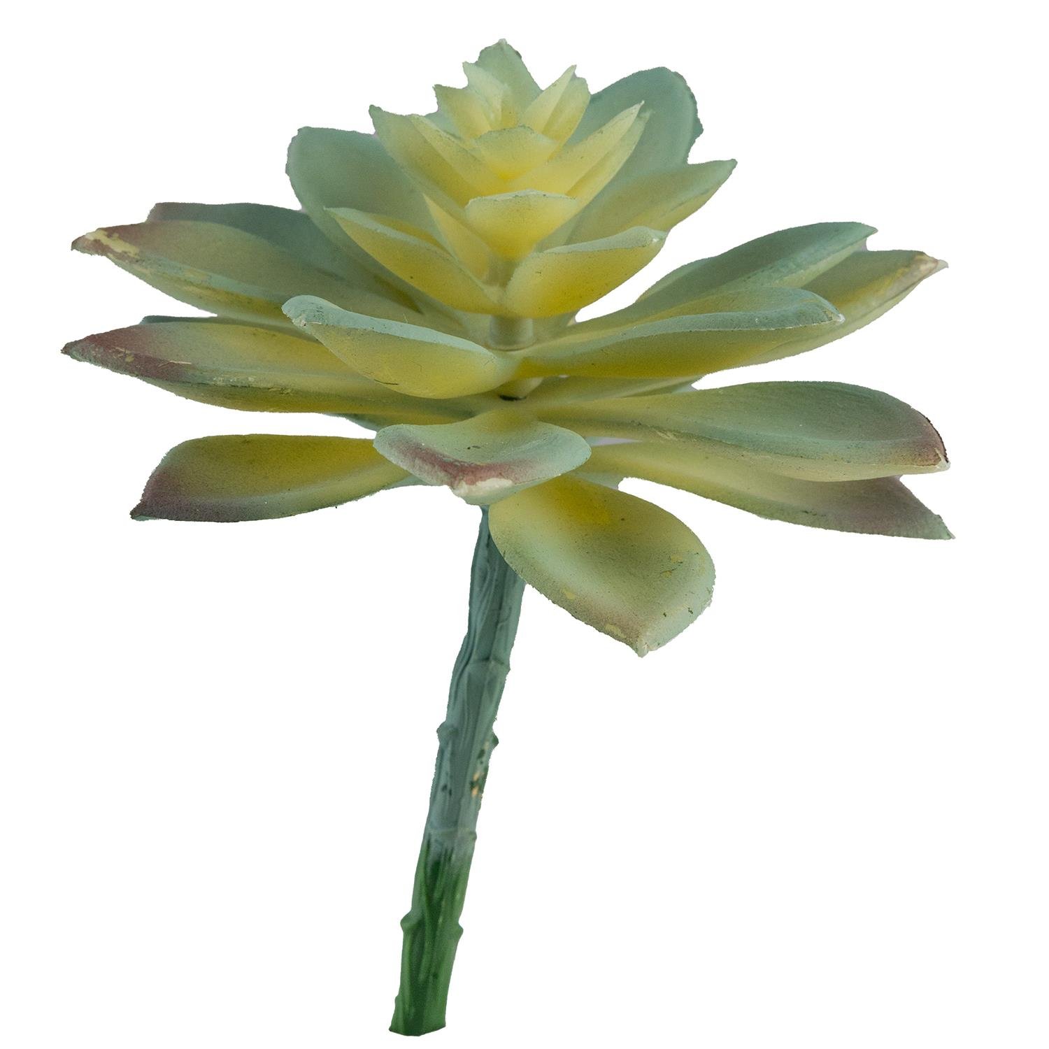 Yapay Mini Etli Echeveria Sukulent Açık Yeşil 12 cm - Sukulentler ve Kaktüsler