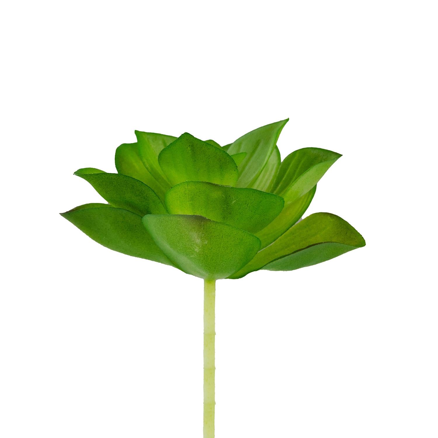 Yapay Mini Etli Echeveria Sukulent Açık Yeşil 8 cm - Sukulentler ve Kaktüsler