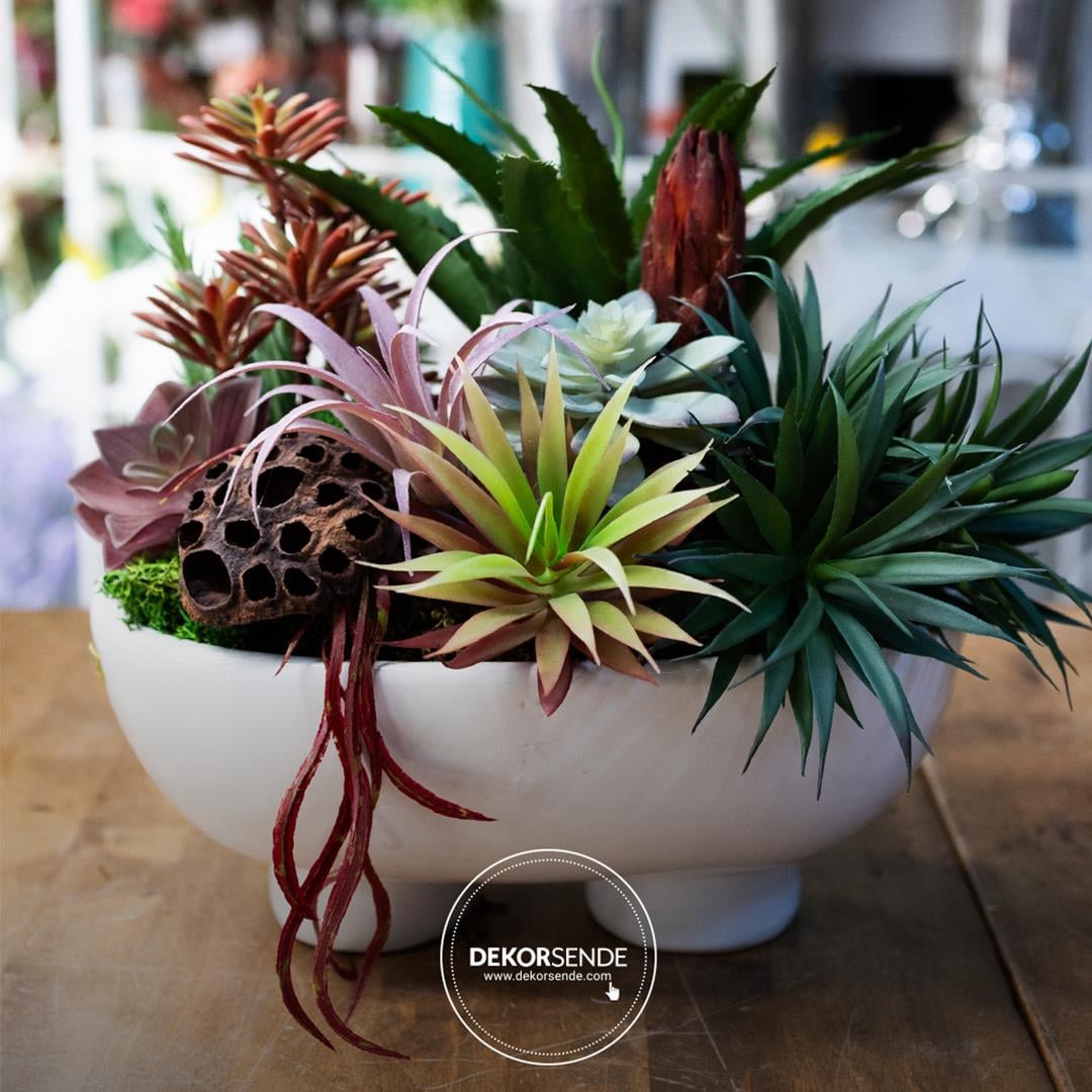 Yapay Mini Etli Echeveria Sukulent Açık Yeşil 12 cm Saksılı - Sukulentler ve Kaktüsler