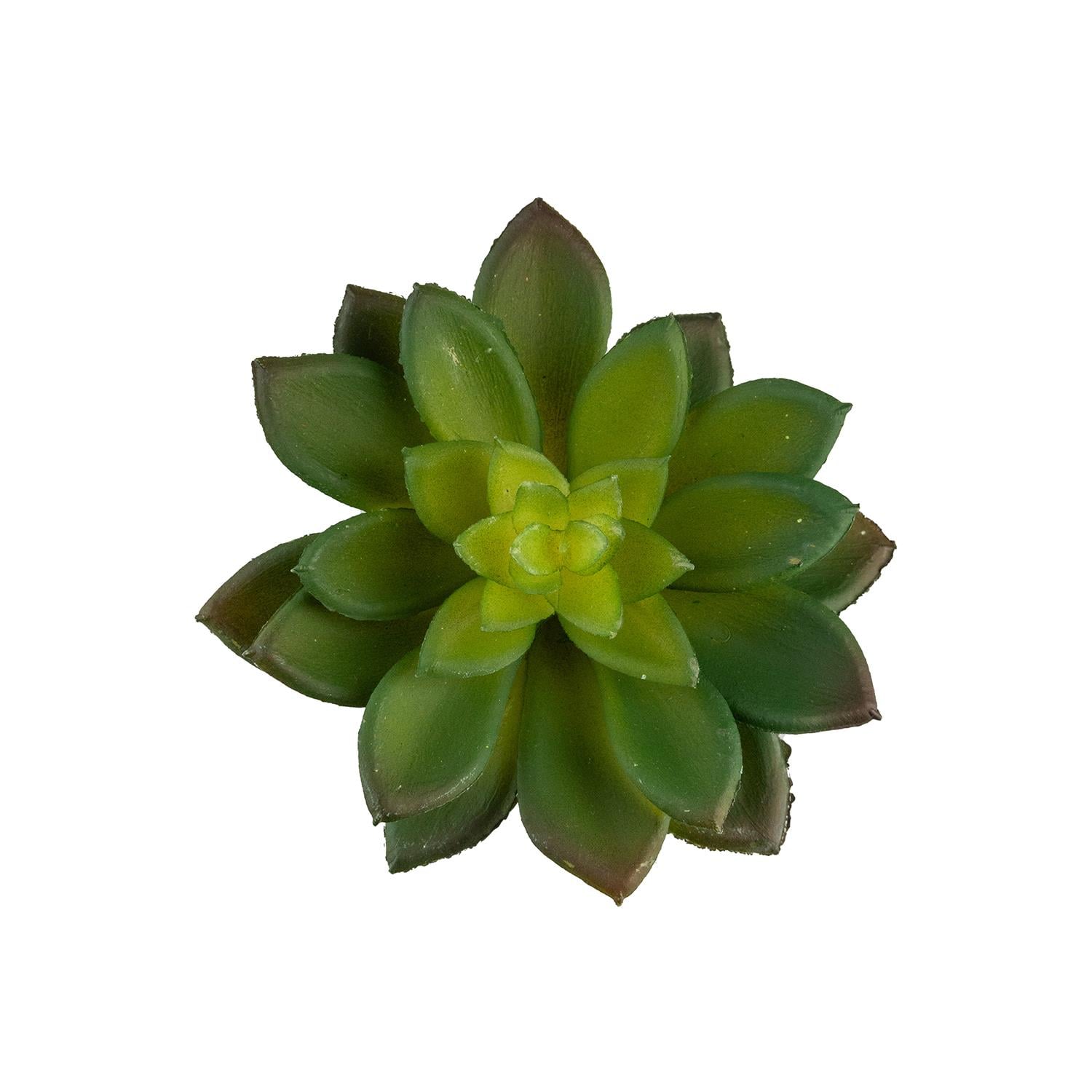 Yapay Mini Etli Echeveria Sukulent Yeşil 12 cm - Sukulentler ve Kaktüsler