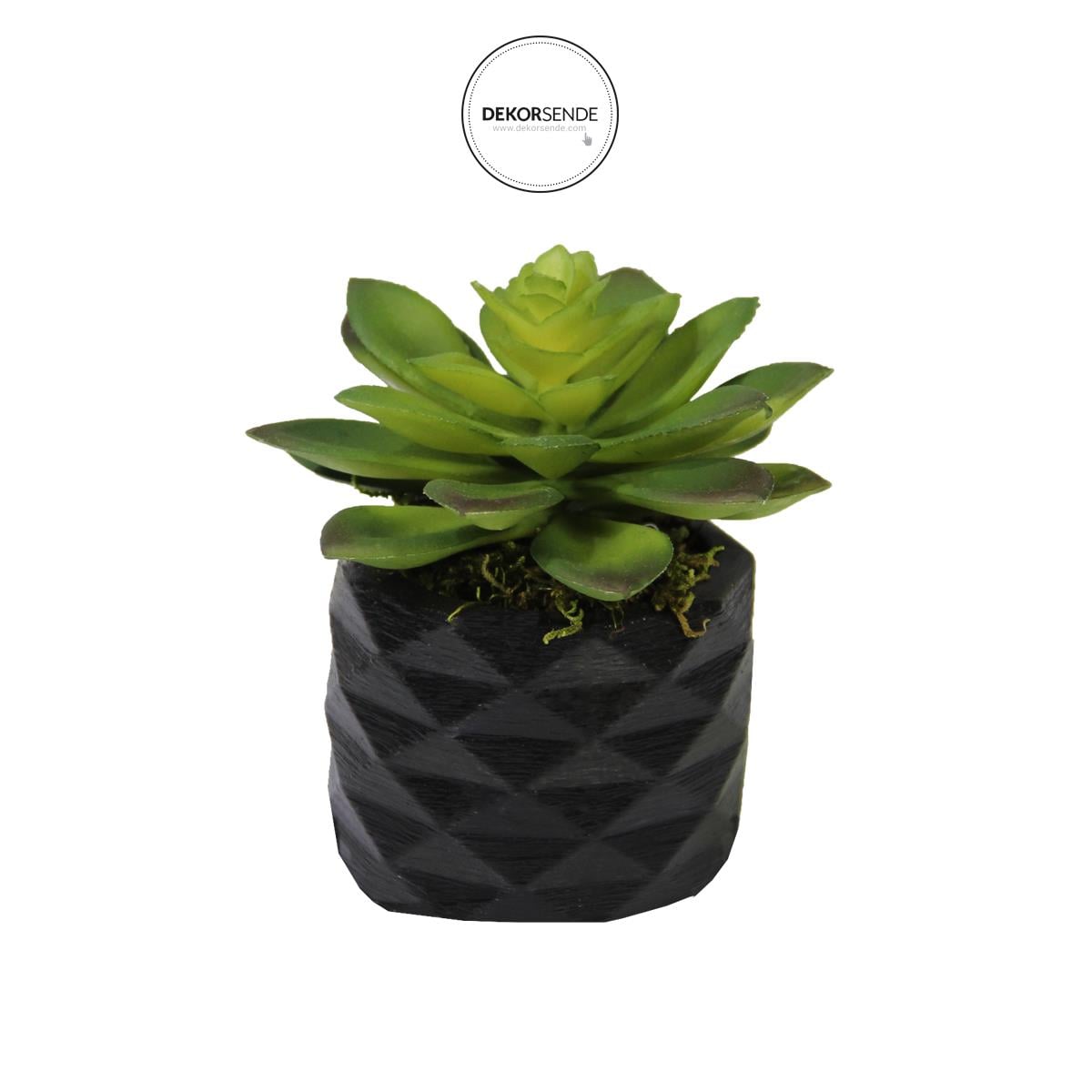 Yapay Mini Etli Echeveria Sukulent Yeşil 12 cm Saksılı - Sukulentler ve Kaktüsler