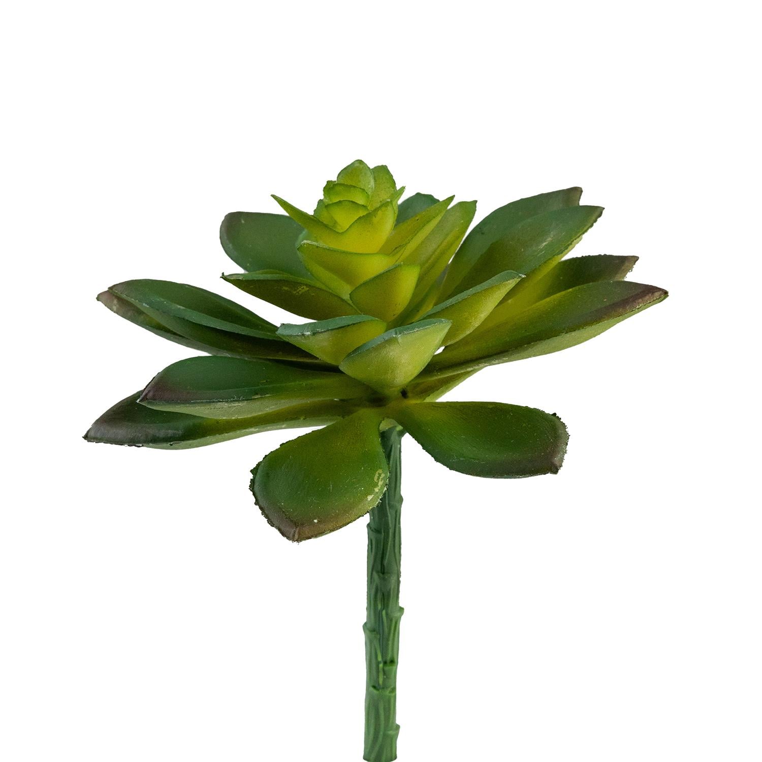 Yapay Mini Etli Echeveria Sukulent Yeşil 12 cm - Sukulentler ve Kaktüsler