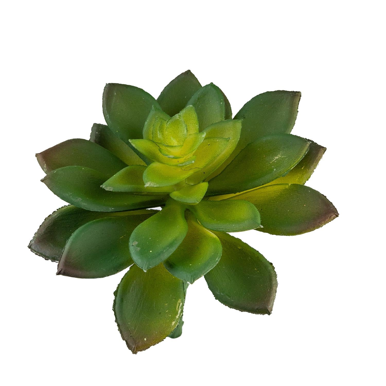 Yapay Mini Etli Echeveria Sukulent Yeşil 12 cm - Sukulentler ve Kaktüsler
