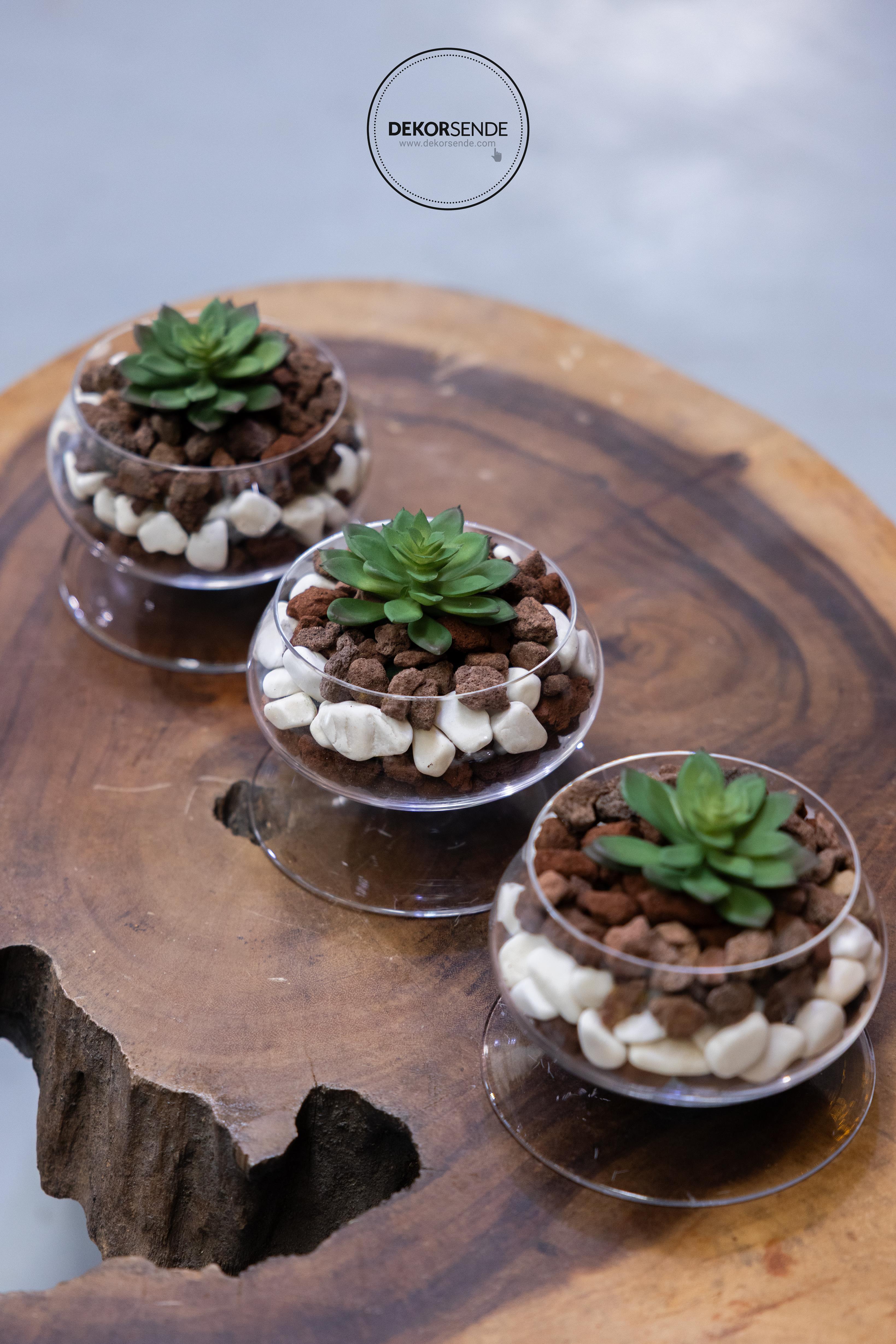 Yapay Mini Etli Echeveria Sukulent Yeşil 12 cm - Sukulentler ve Kaktüsler