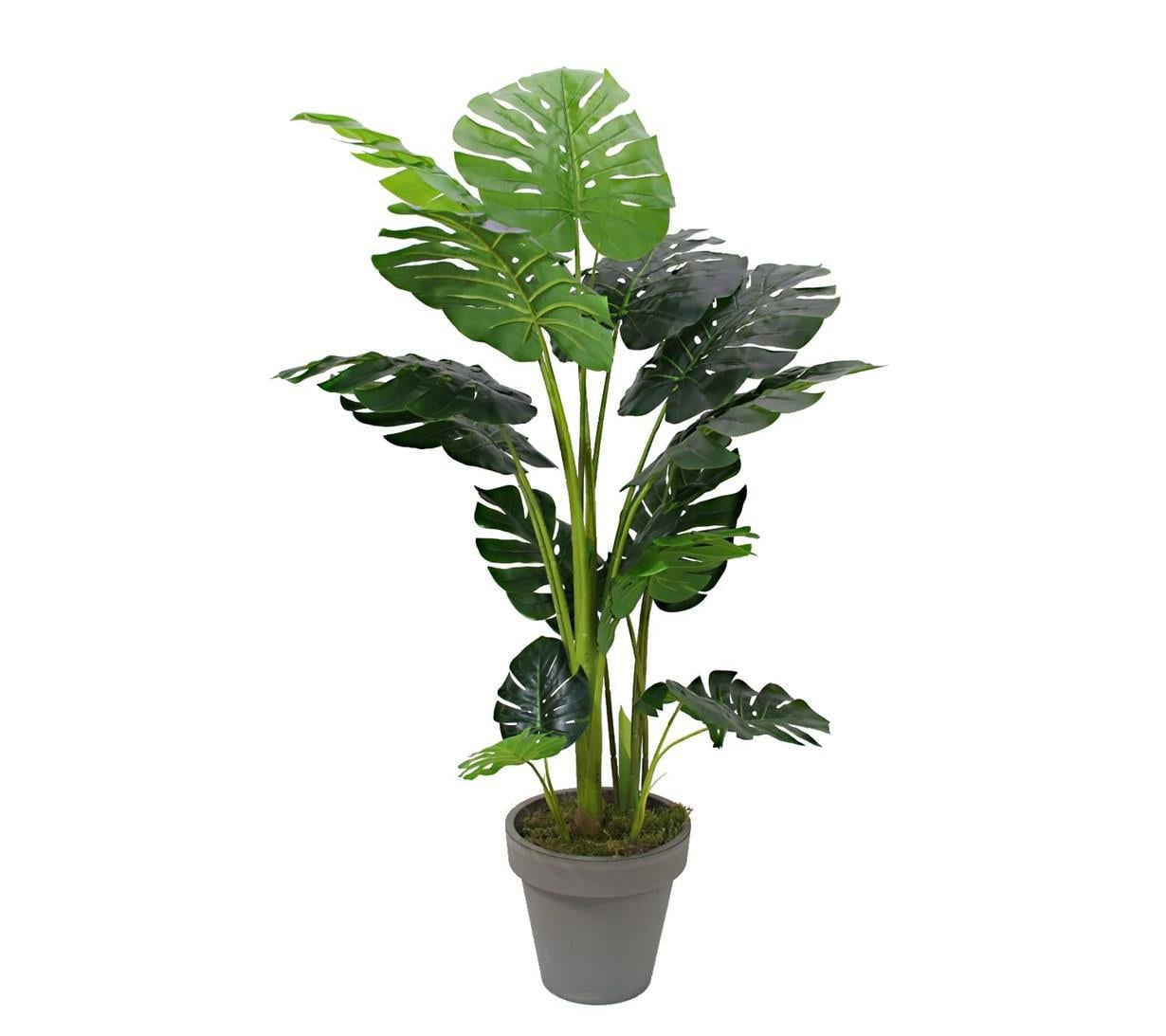 Yapay Monstera Ağacı 155 cm - Yapay Egzotik Ağaçlar