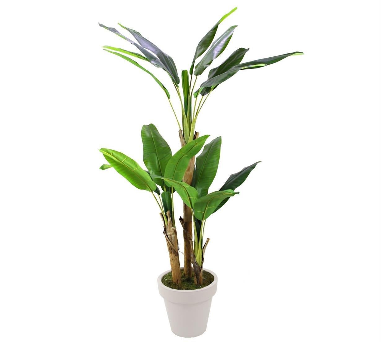Yapay Muz Ağacı 200 cm - Yapay Egzotik Ağaçlar