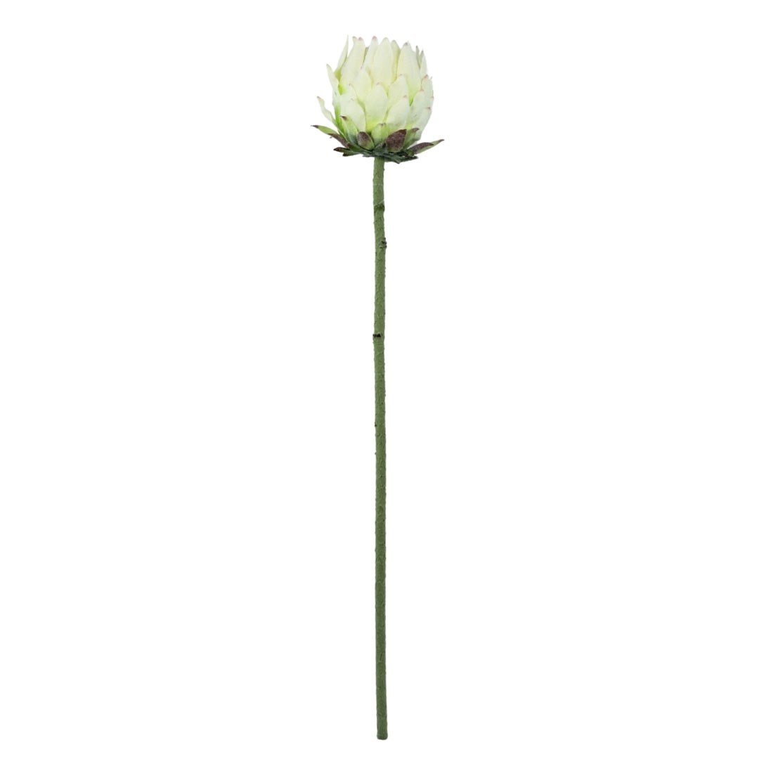 Yapay Protea Dal Beyaz 62 cm - Yapay Çiçek Dalları ve Demetleri