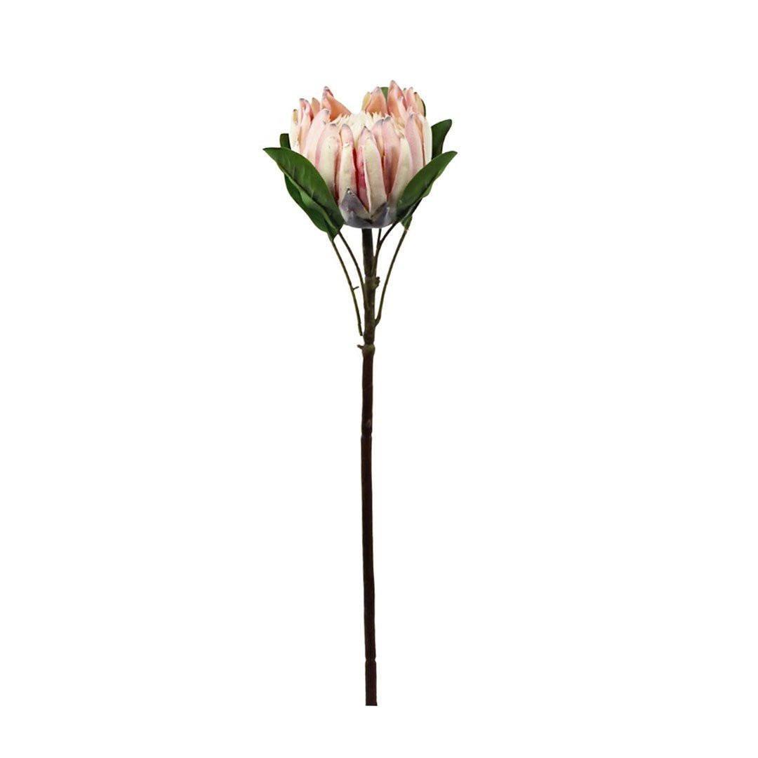 Yapay Protea Dal Pudra 70 cm - Yapay Çiçek Dalları ve Demetleri