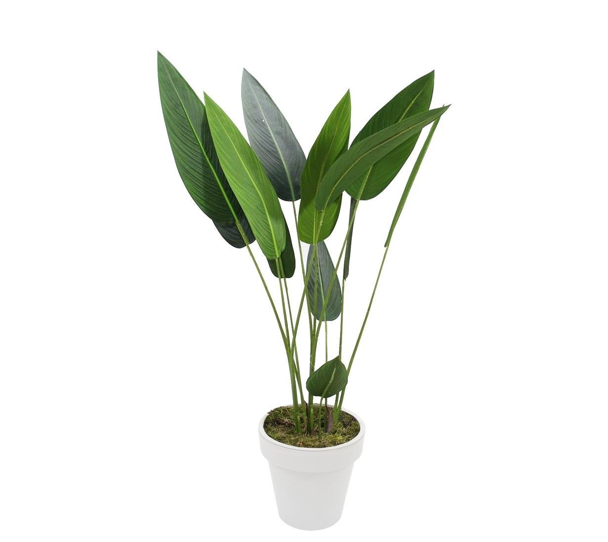 Yapay Starliçe Ağaç 130 cm - Yapay Egzotik Ağaçlar